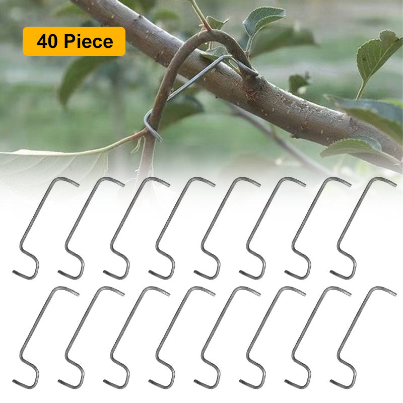 🍎Fruit Tree Branch Spreader(40pcs)