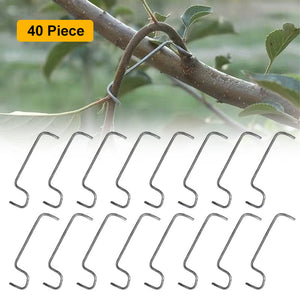 🍎Fruit Tree Branch Spreader(40pcs)