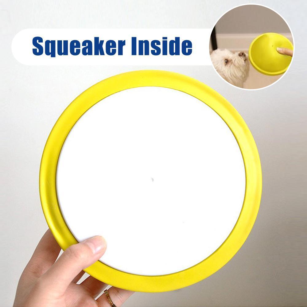 Indoor Gliding Squeaky Dog Toy