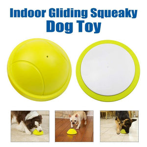 Indoor Gliding Squeaky Dog Toy