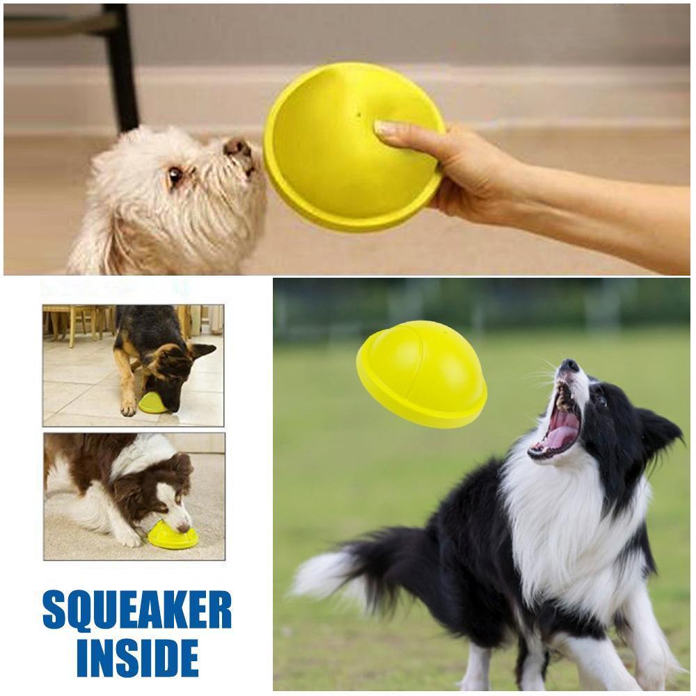 Indoor Gliding Squeaky Dog Toy