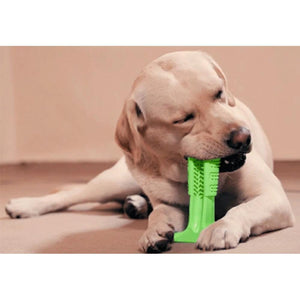 Pet Dog Toothbrush