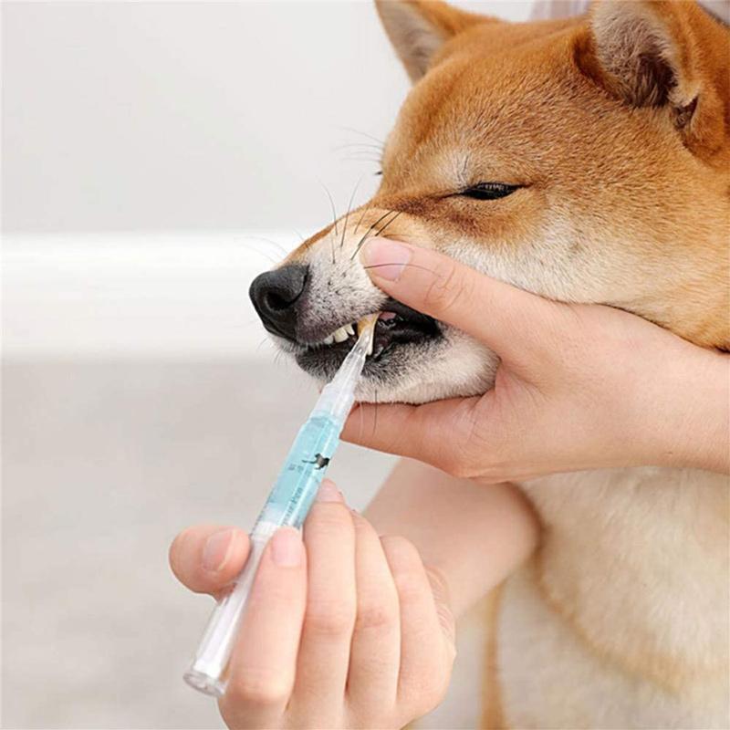 Pet Teeth Cleaning Pen