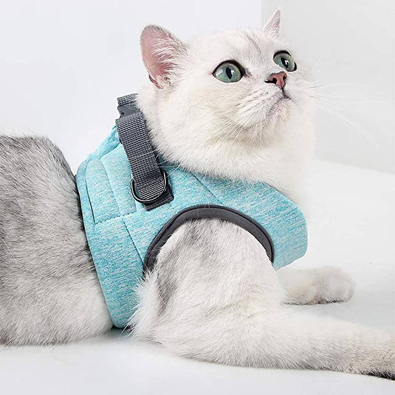 Cat Vest Harness and Leash