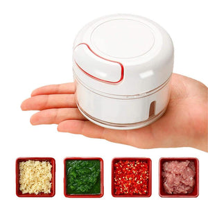 Mini Food Crusher