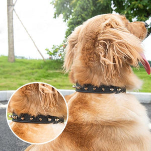 Bite-Proof Pet Collar