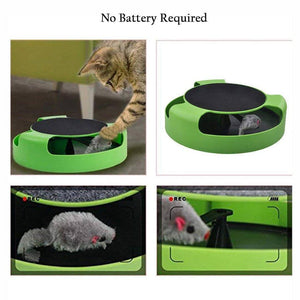 Catch Mouse Interactive Cat Toy